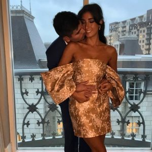 ASOS Luxe Bardot Sleeve Dress